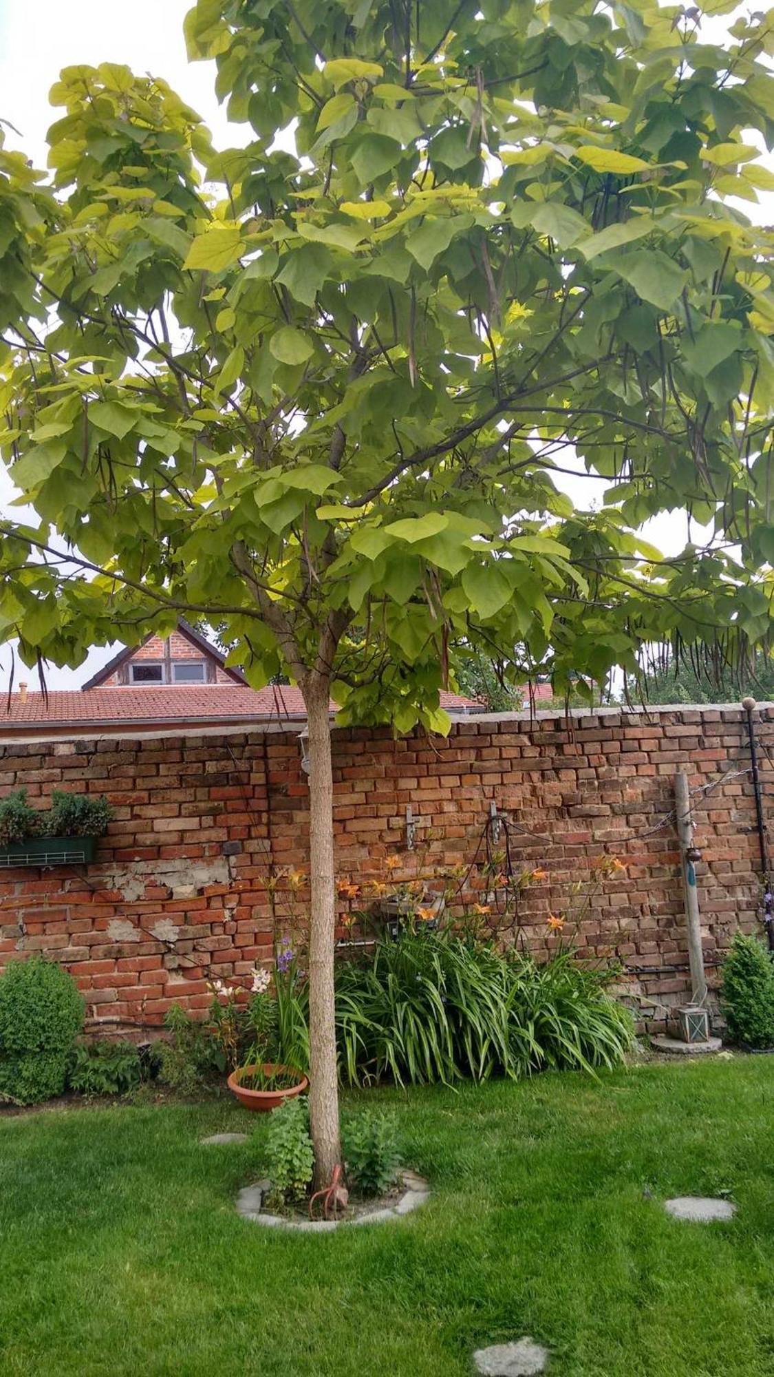 Ferienwohnungen Haus Leonore Stendal Ngoại thất bức ảnh